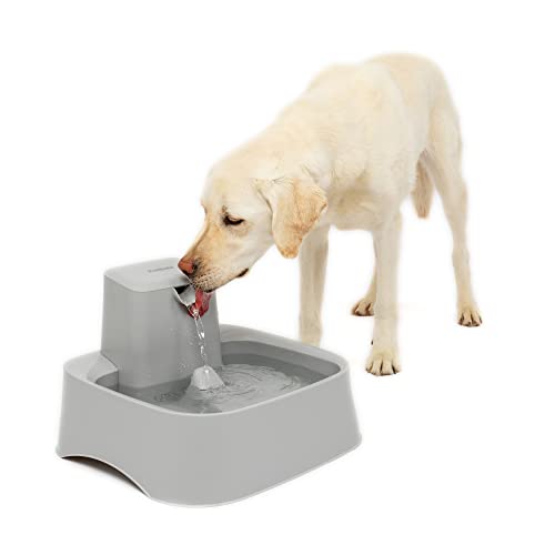 PetSafe Drinkwell Water Fountain - 2 Gallon