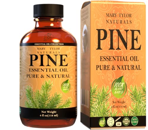 Pine Essential Oil (4 oz) - Premium Therapeutic Grade