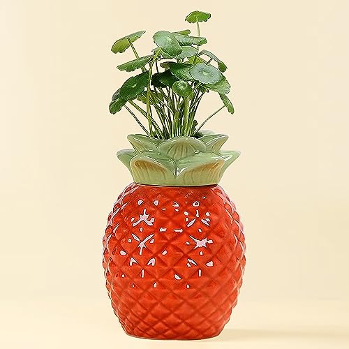 Pineapple Shaped Planter