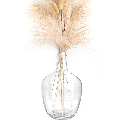 PINIWON Clear Glass Vase, 10.2” H x 6.3” W, Bubble Floor Vase for Branches Faux Pampas Grass, Tall Vase for Floor Tabletop, Glass Jug Vase for Home Decoration - 1 Piece