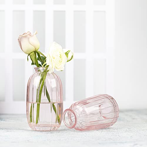 Pink Glass Vase for Single Flowers, Small Flower Vase, Bud Flower Vase for Centerpieces, Pink Room Decor, Desk ​Tabletop Placement (Set of 2)
