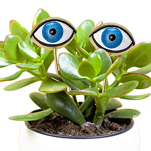 Plant Eyes Stakes Set of 2