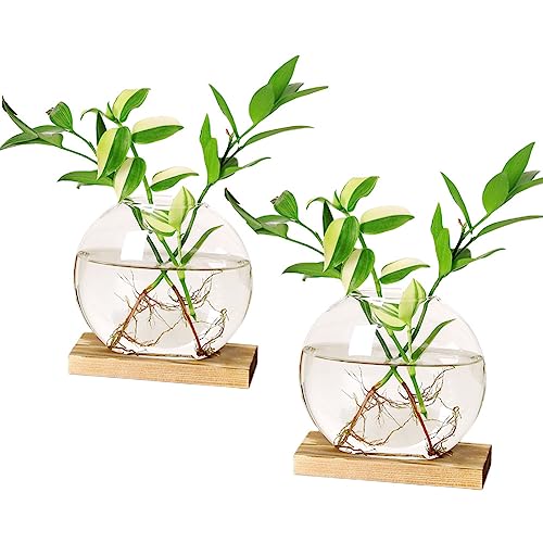 Plant Propagation Stations Terrarium with Wooden Stand-Desktop Glass Bulb Plant Vase for Propagating Hydroponic Plants Home Garden Office Decor (Style 6)