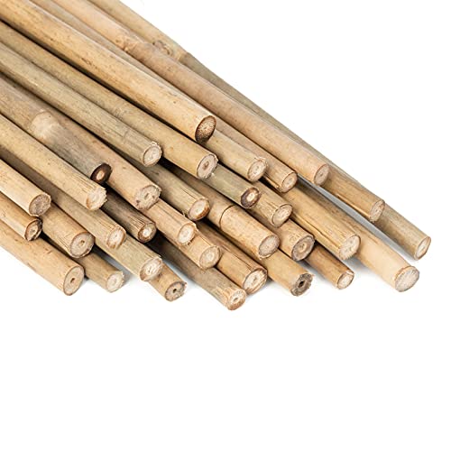 Plant Stakes Natural Garden Bamboo Sticks for Indoor and Outdoor Plants