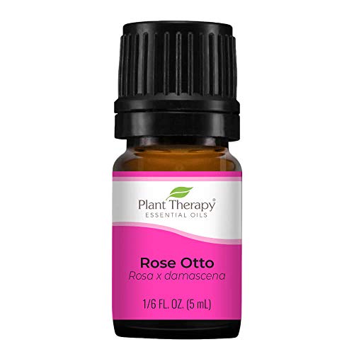 Plant Therapy Rose Otto Essential Oil