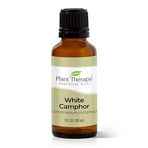 Plant Therapy White Camphor Essential Oil 30 mL (1 oz) 100% Pure, Undiluted, Therapeutic Grade