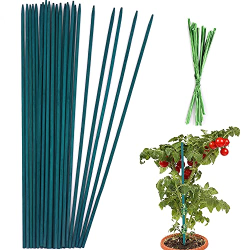 POLIUMB Green Plant Stakes Garden Wood Plant Support Stakes