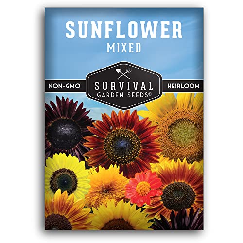 Popular Sunflower Seeds for Planting