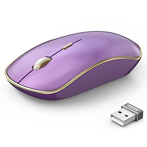 Portable Ergonomic Wireless Mouse