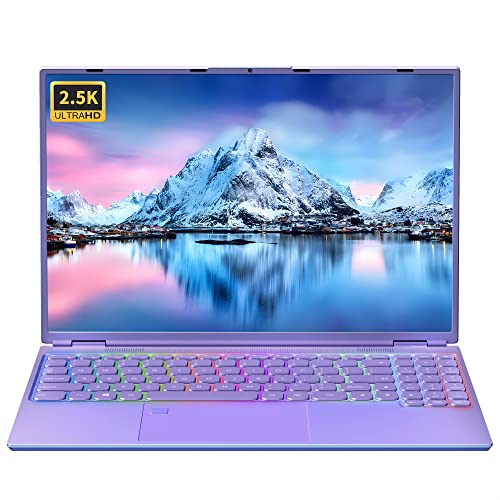 Powerful and Efficient 16" Laptop with Windows 11 Pro/Office 2019