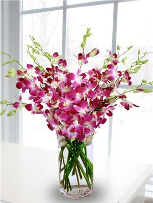 Premium Cut Purple Orchids (20 stems with Vase)
