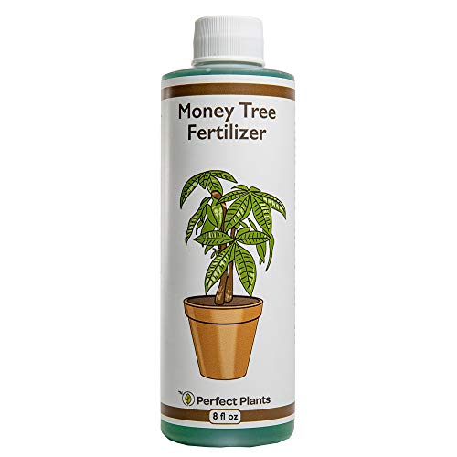 Premium Liquid Money Tree Fertilizer