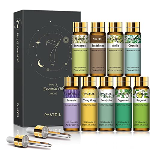 P&J Fragrance Oil Tranquil Set | Vanilla, Cucumber Melon, Lavender, Amber,  Bamboo, and Ocean Breeze Candle Scents for Candle Making, Freshie Scents