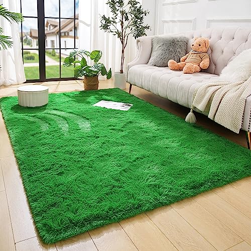 Premium Soft Area Rug - Green, Fluffy Carpet for Home Decor
