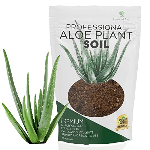 Professional Aloe Plant Soil | Premium All Purpose Blend