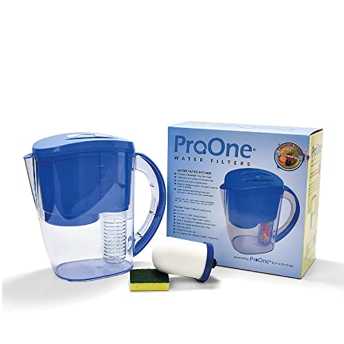 ProOne Water Filter Pitcher with Fruit Infuser