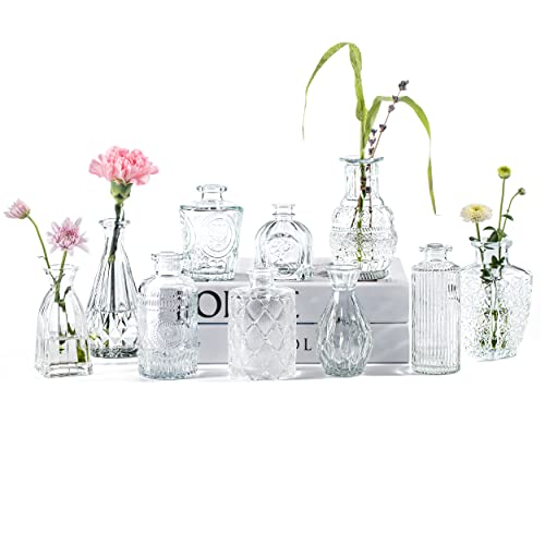 PURVONNIE Vintage Bud Vases in Bulk Set of 10, Small Glass Vase for Flowers,Clear Glass Vases for Centerpieces,Mini Bud Vase for Wedding Decorations (Clear)