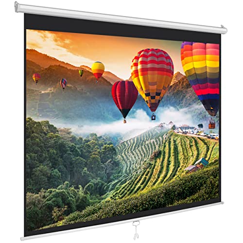 Universal Manual Projection Screen