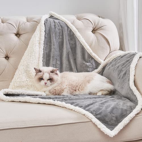 Qeils Pet Blankets for Cats - Waterproof and Cozy Blankets for All Seasons