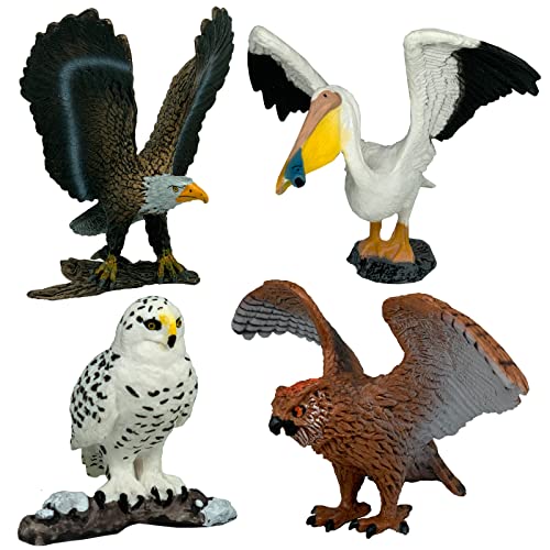 Realistic Bird Figurines Toy Set for Kids