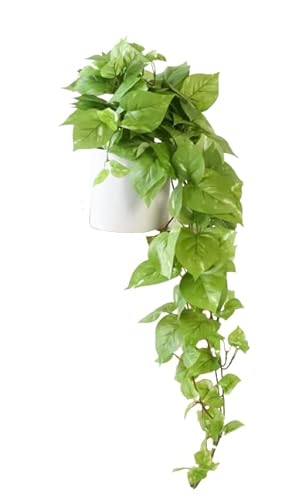 Realistic Fake Pothos Ivy Plant