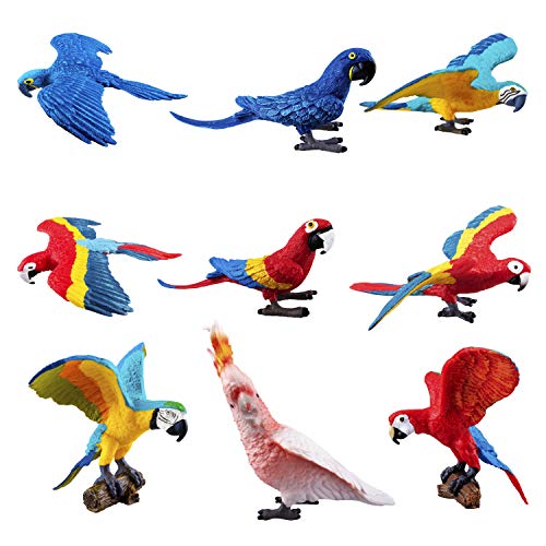 Realistic Parrot Figurines Set