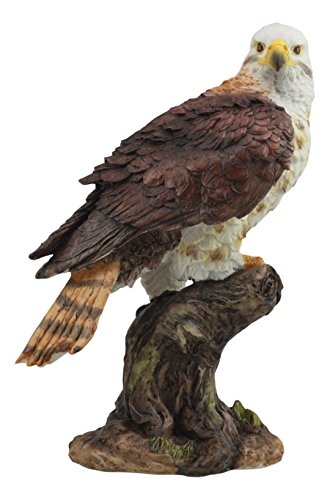 Realistic Wildlife Yellow Tailed Hawk Statue