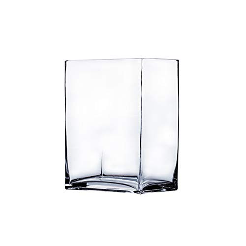 Rectangle Block Vase - Clear Floral Bouquet Glass Container