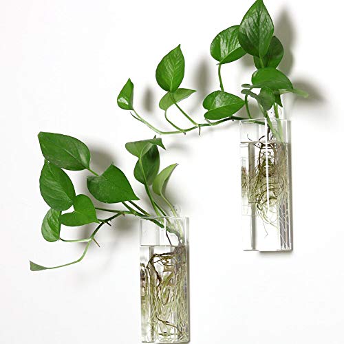 Rectangle Shape Plants Holders Air Plants Succulents Planters