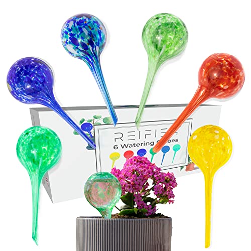 Reifier 6-Pack Plant Watering Globes