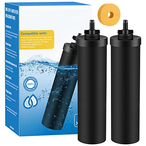 Replacement Water Filter for Berkey Water Filter System (2 Pack)