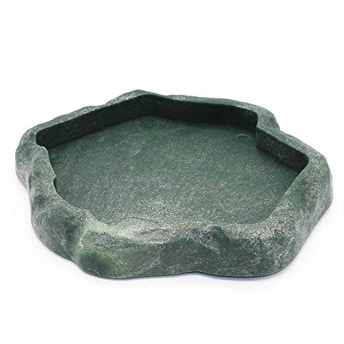 Reptile Feeder Terraium Bowl