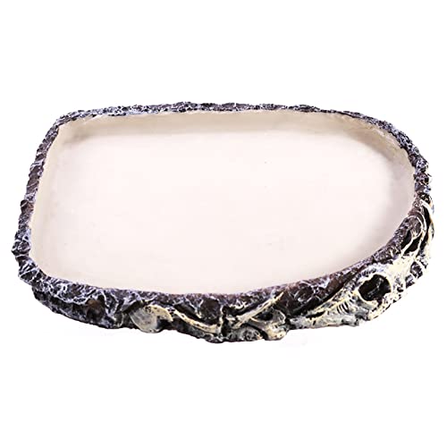 Reptile Water Bowl with Spooky Rock Design