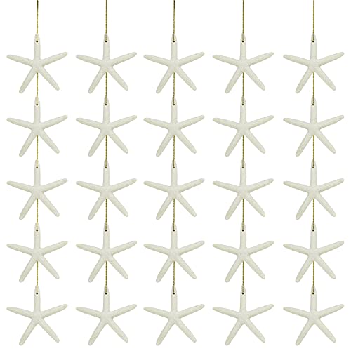 Resin Starfish with Rope for Christmas Tree Hanging Ornaments