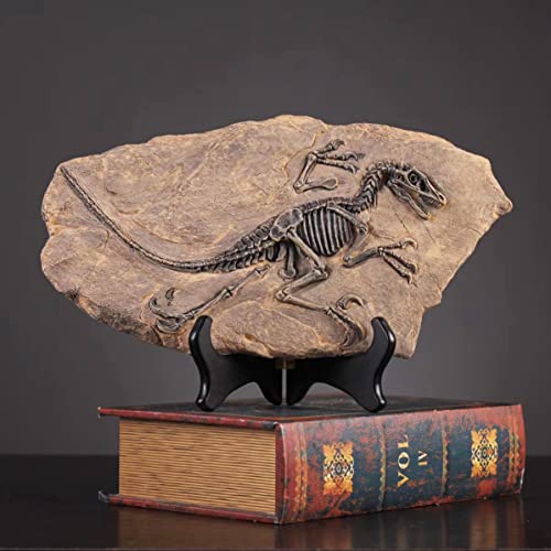 Resin Velociraptor Dinosaur Skeleton Fossil Statue Figurines