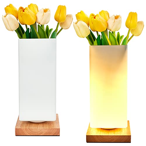 Retisee Floral Vase Lamp with Dimmable LED Light - Stylish and Versatile