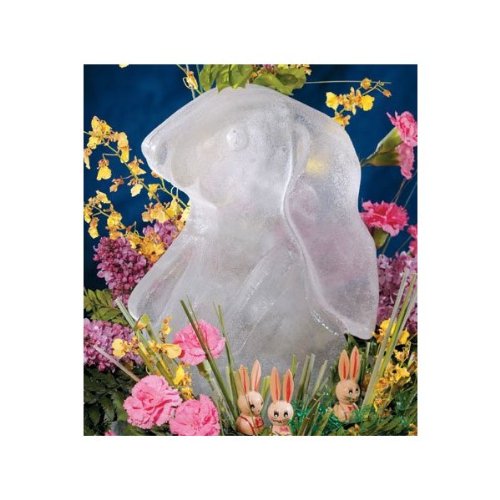 Reusable Bunny Ice Sculpture Mold