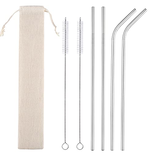 Reusable Metal Straws with Case