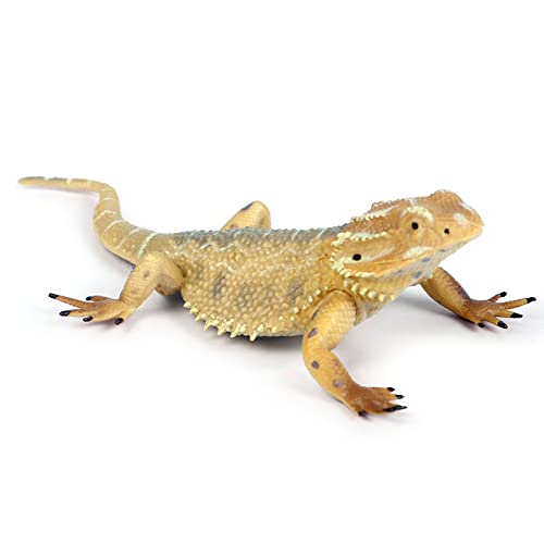 Rich Boxer Lizard Figurine Realistic Plastic Lizard Reptile Figurine for Collection Science Educational Prop