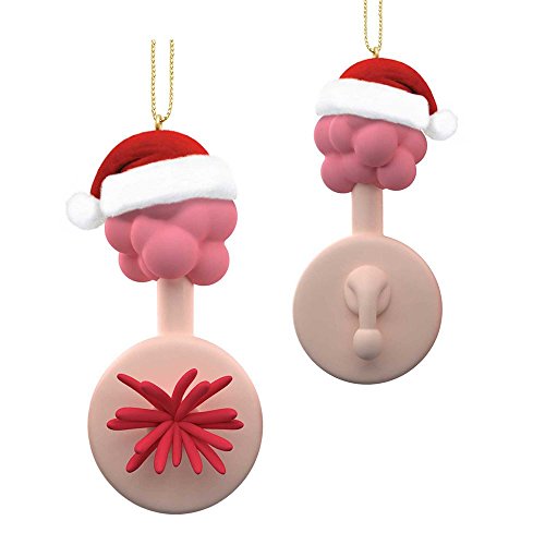 Rick and Morty Plumbus Ornament