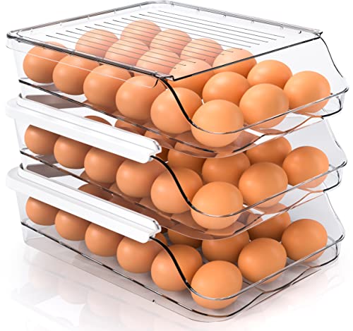 2023 New Egg Holder For Refrigerator, Automatically Rolling Egg Storage  Container, 2 Tier Plastic Egg Holder Space Saving Egg Tray For Refrigerator  or