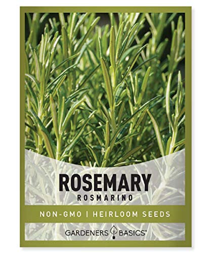 Rosemary Seeds for Planting - Great Heirloom Herb Variety