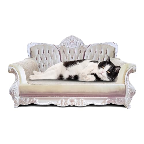 Royal Cat Scratcher Couch