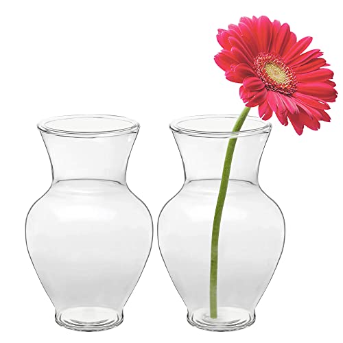 Royal Imports Clear Glass Bottle Bud Vase