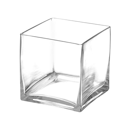 Royal Imports Cube Glass Vase