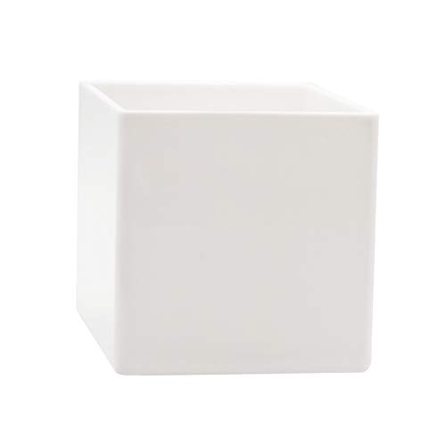 Royal Imports Flower Acrylic Vases Cubes - Decorative Centerpiece for Home or Wedding - Non Breakable Plastic, 5" - White