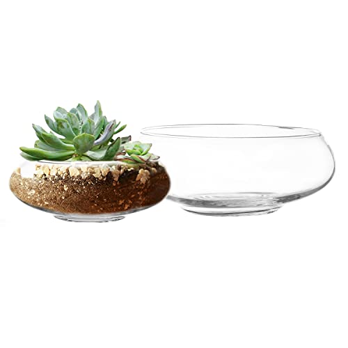 Royal Imports Flower Glass Vase, Bowl Terrarium Succulent Planter, Air Plant Hydroponic Display, Floating Candles Decorative Centerpiece Floral Container for Home or Wedding Set of 2, Clear