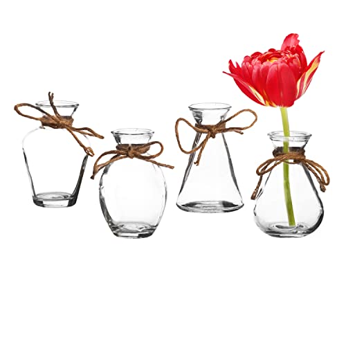 Royal Imports Glass Bud Vase Set