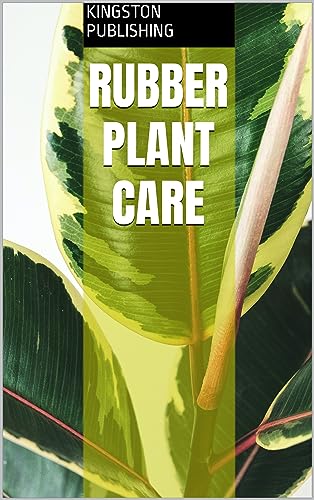 Rubber Plant Care
