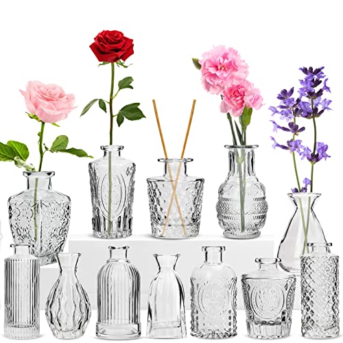 RUCKAE Small Boho Glass Vases